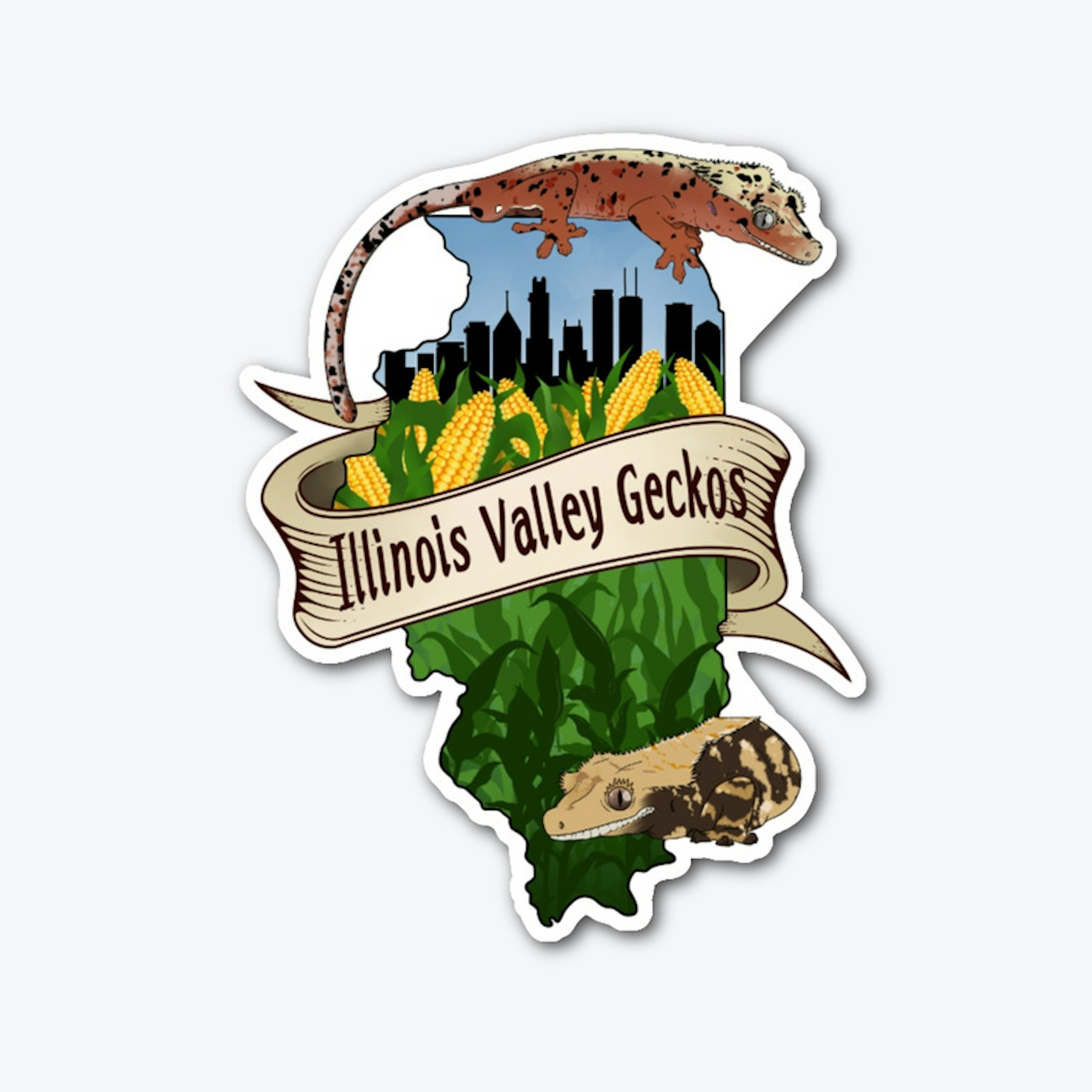 Illinois Valley Geckos